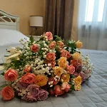 срібний водограй ホテル