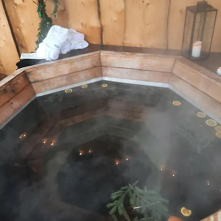 срібний водограй Hotel Polyana (Transcarpathia)