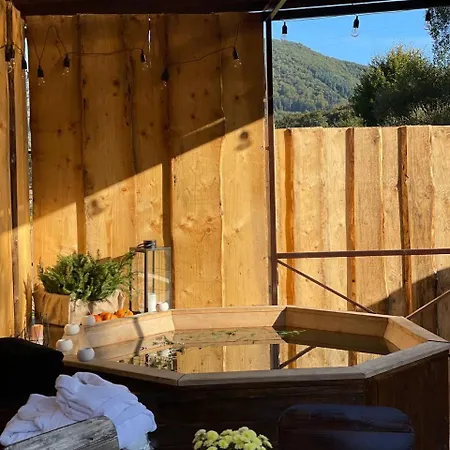 срібний водограй Hotel Polyana (Transcarpathia)